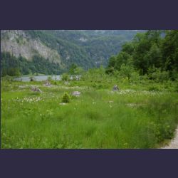 2007-05_12Koenigssee (002).JPG
